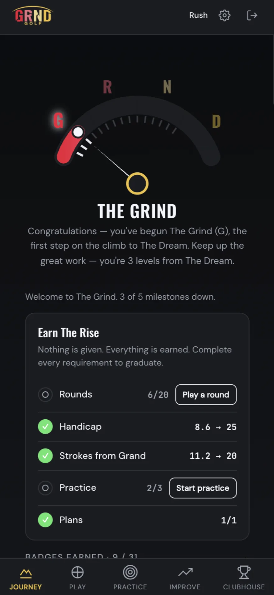 Your journey: level, gauge, and the requirements to earn the next level